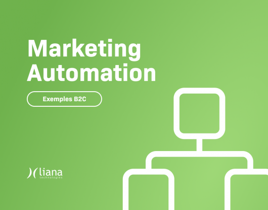 Exemples marketing automation par Liana Technologies