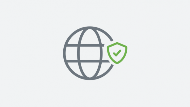 Globe avec un bouclier vert et une coche