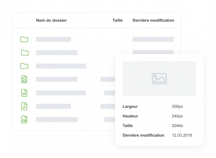 Aperçu de l'outil Liana CMS avec gestion de fichier