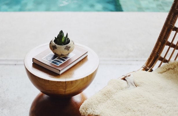 Petite plante décorative et livre sur une table basse dans un spa