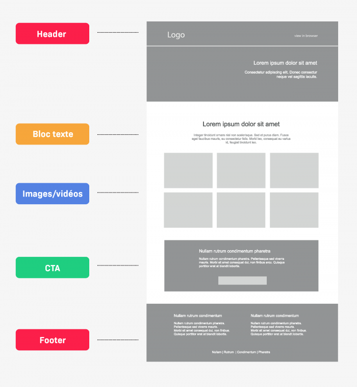 must-have newsletter components