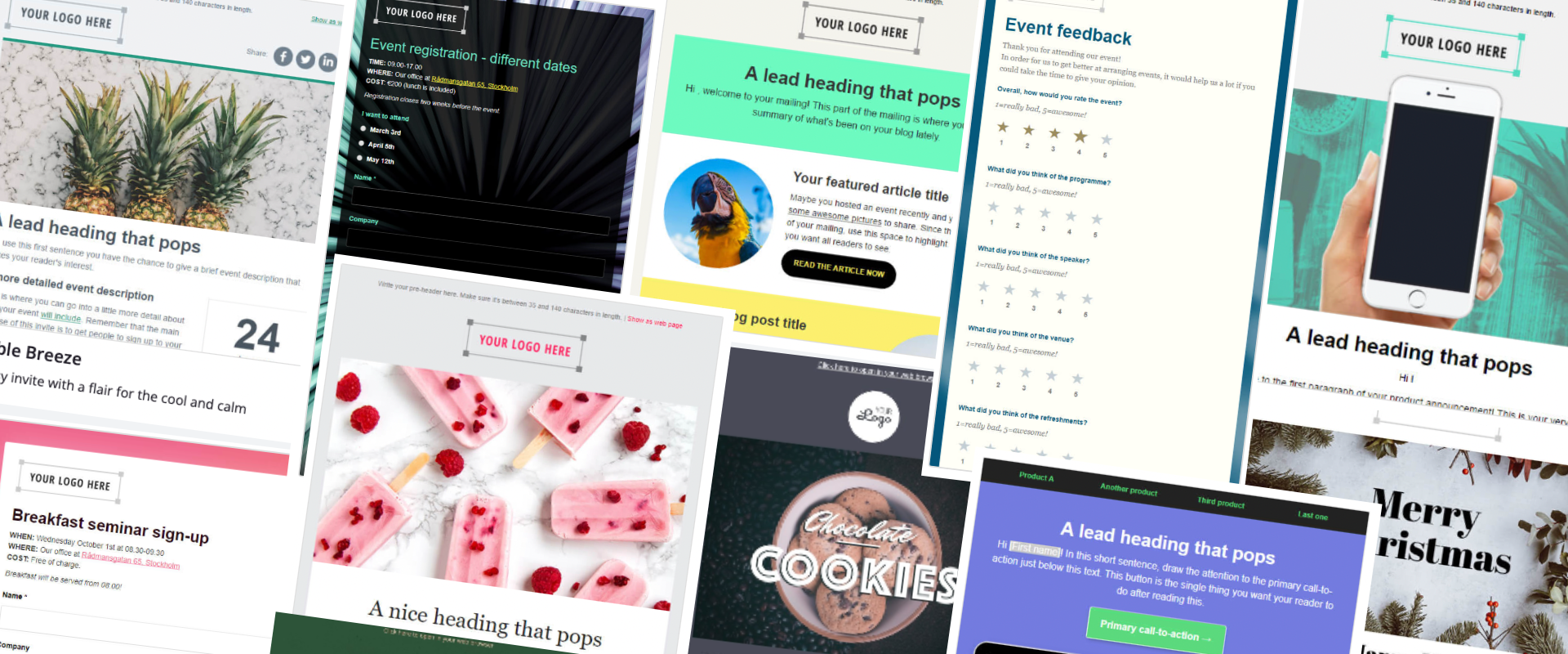 Templates de newsletter et d'enquêtes de l'outil Ungapped